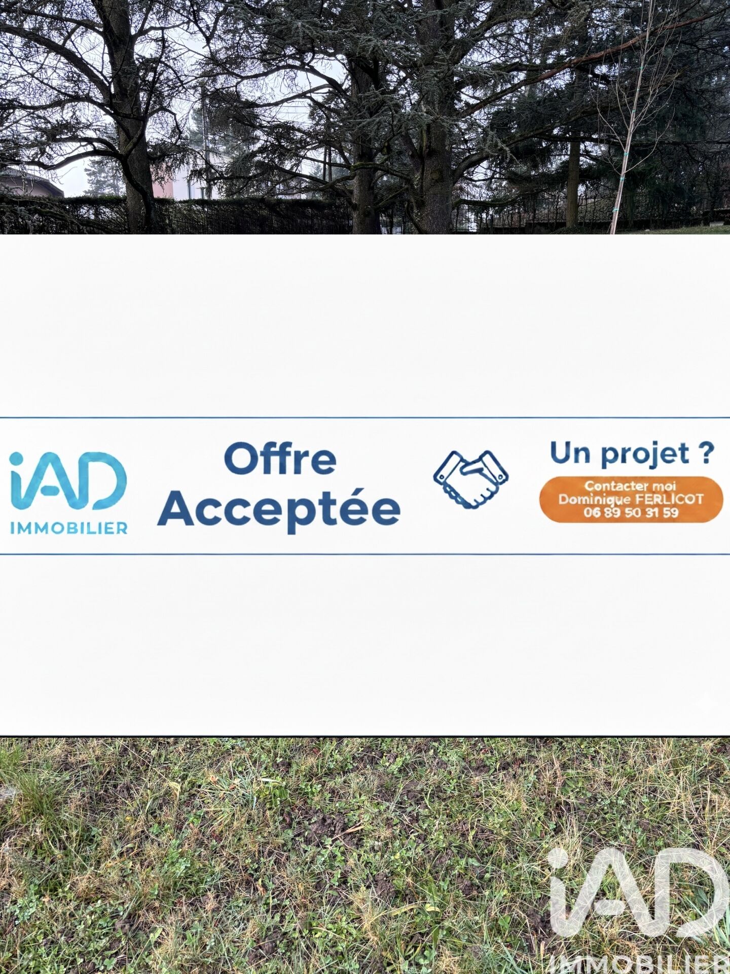 Tassin-la-demi-lune - 1534m²