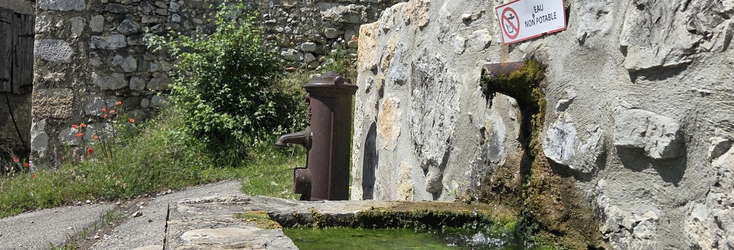 Photo N° 2