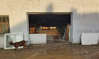 Terrain  2500 m² à vendre à Villeneuve-sur-Yonne (89500)