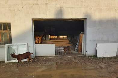 Terrain  110000 €