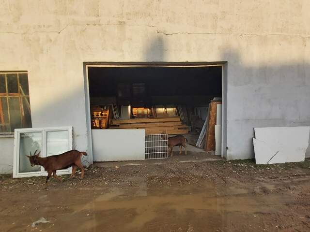Vente Terrain 2 500 m&sup2; — photo du bien