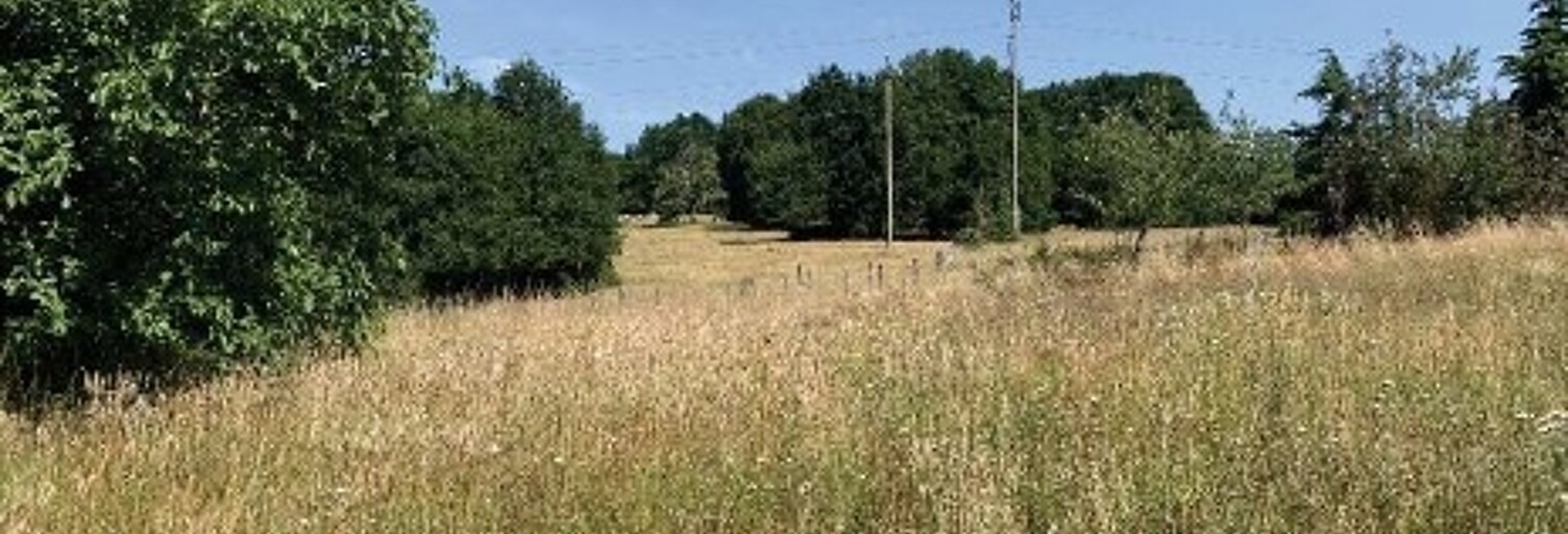 Terrain  713 m² à vendre à Le Mans (72000)