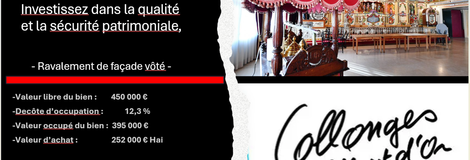 Appartement 94 m² en viager Collonges-au-Mont-d'Or (69660)