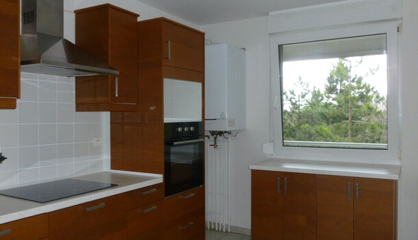 Appartement 3 pièces  à louer Reims 51100