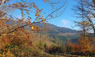 Appartement 2 Pièces 48 m² à vendre à Obernai (67210)