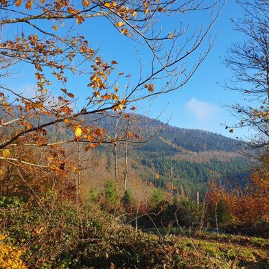 Appartement 2 pièces 253500 €