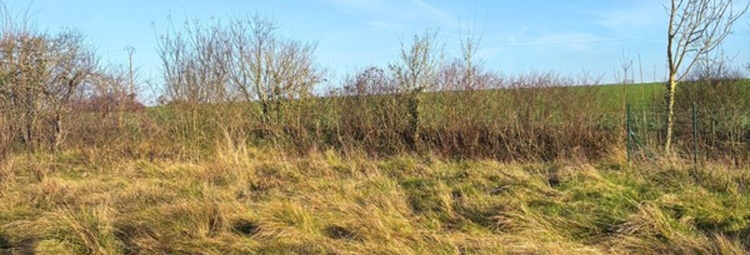 Terrain  1827 m² à vendre à Dierrey-Saint-Julien (10190)