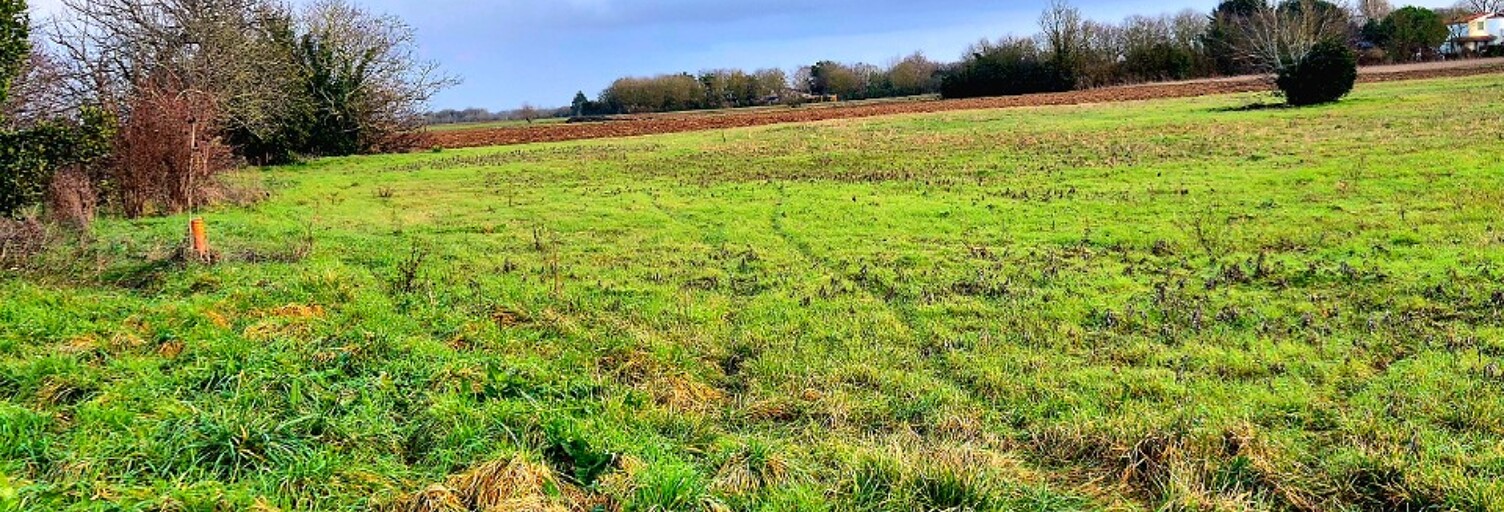 Terrain  238 m² à vendre à Forges (17290)