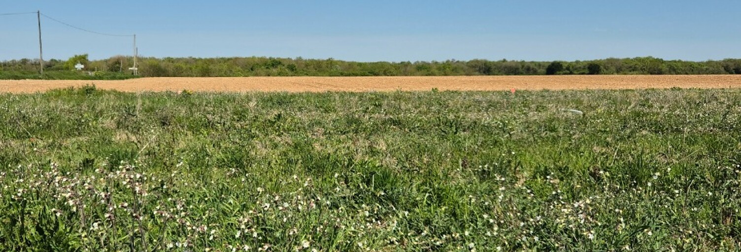 Terrain  272 m² à vendre à Bourgneuf (17220)