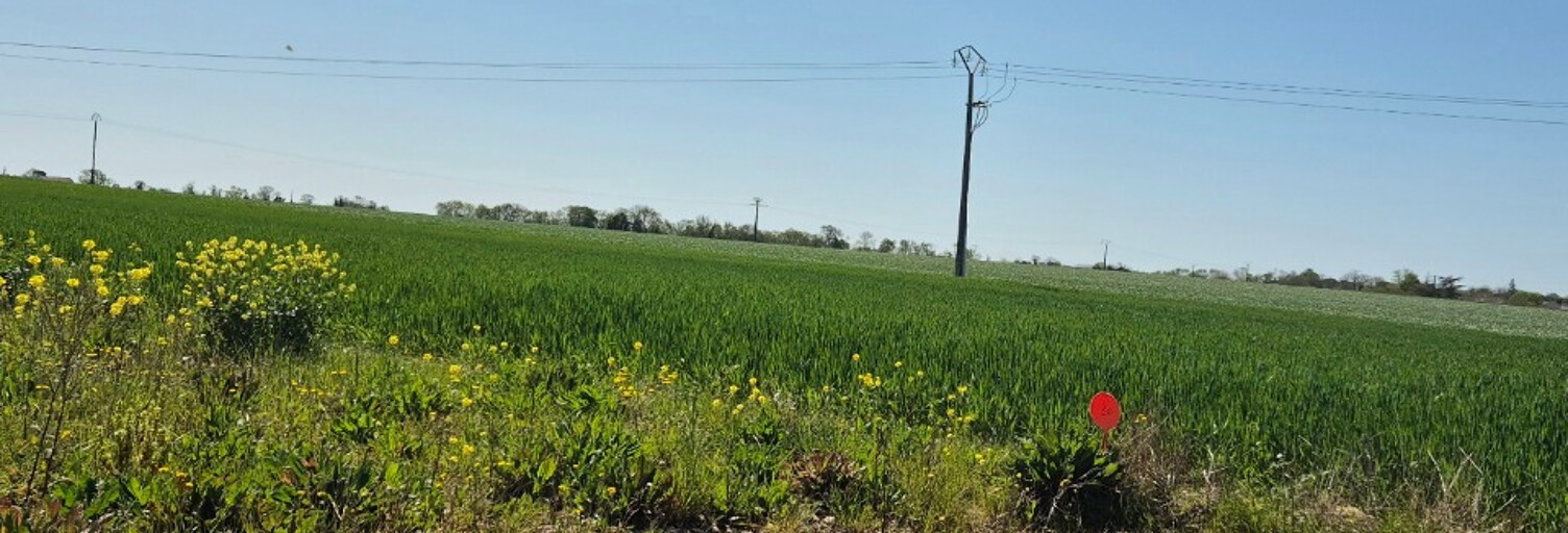 Terrain  250 m² à vendre à Bourgneuf (17220)