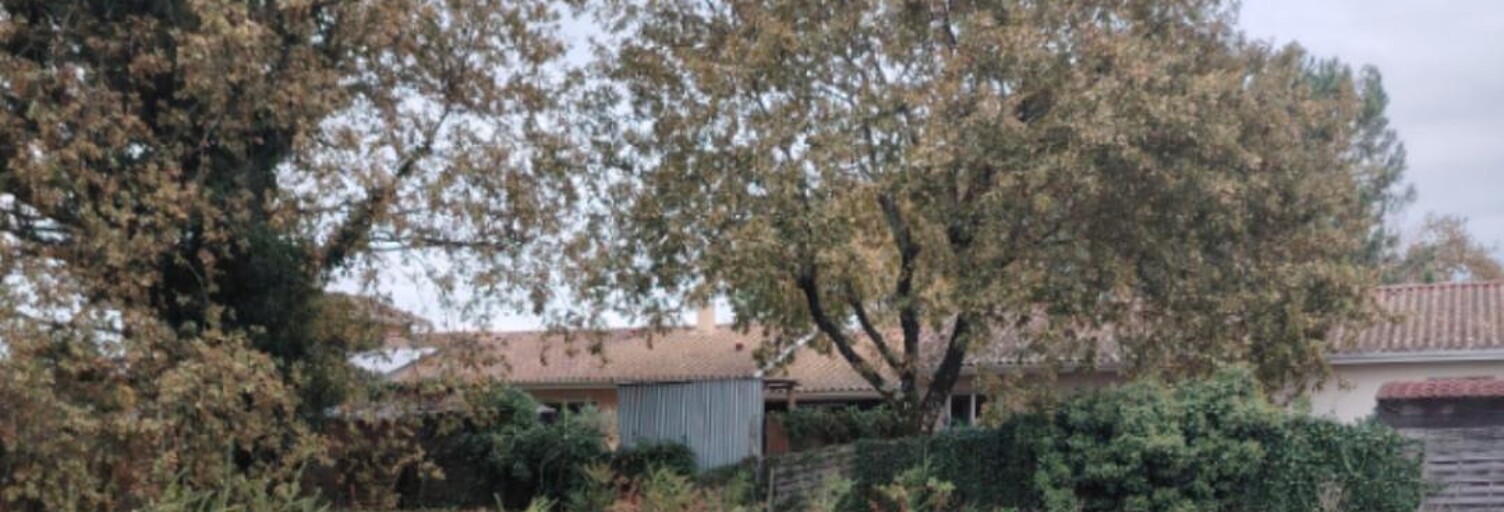 Terrain 580 m² à construire Gujan-Mestras (33470)