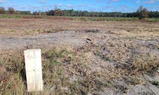 Terrain 590 m² à construire Belin-Béliet (33830)