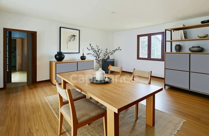 Dpt Pyrénées Atlantiques (64), à vendre PROCHE ARZACQ - MALAUSSANNE maison P6 177 m², 1 appartement de 60 m² sur un terrain de 8 243 m² — photo 4