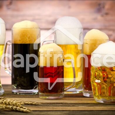 Commerce 8 pièces 560000 €