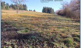 Terrain  4945 m² à vendre à Chabreloche (63250)