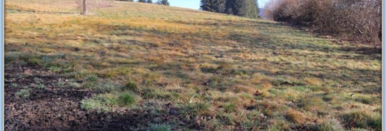 Terrain  4945 m² à vendre à Chabreloche (63250)