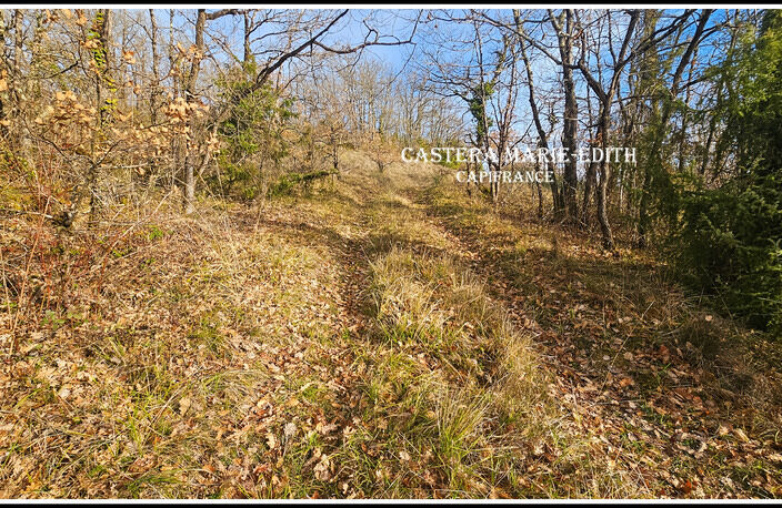 TERRAIN  à vendre  PESSAN (32) — photo 5