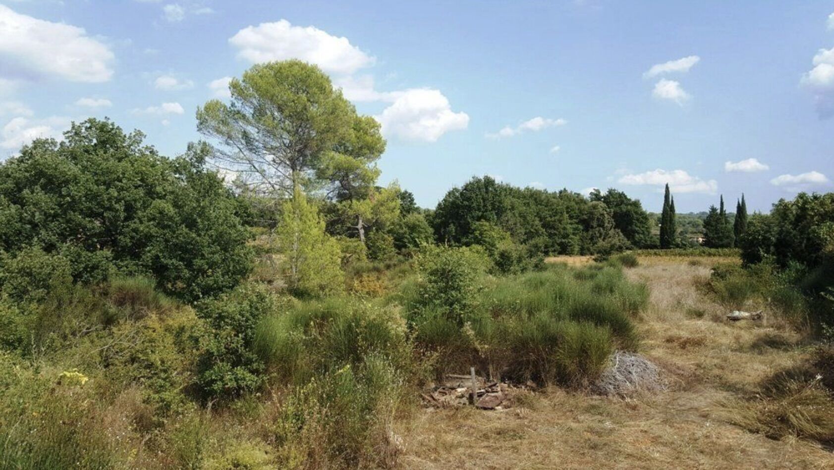 Terrain  à vendre Cotignac 83570