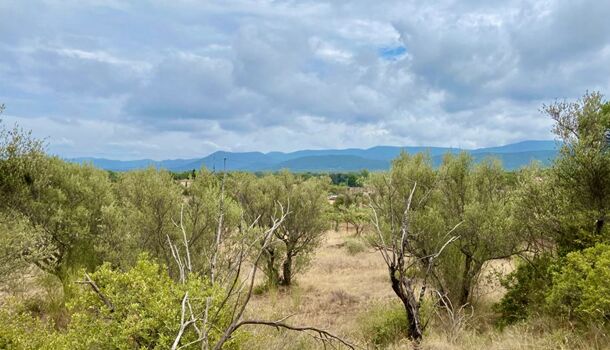 Terrain  à vendre Gonfaron 83590