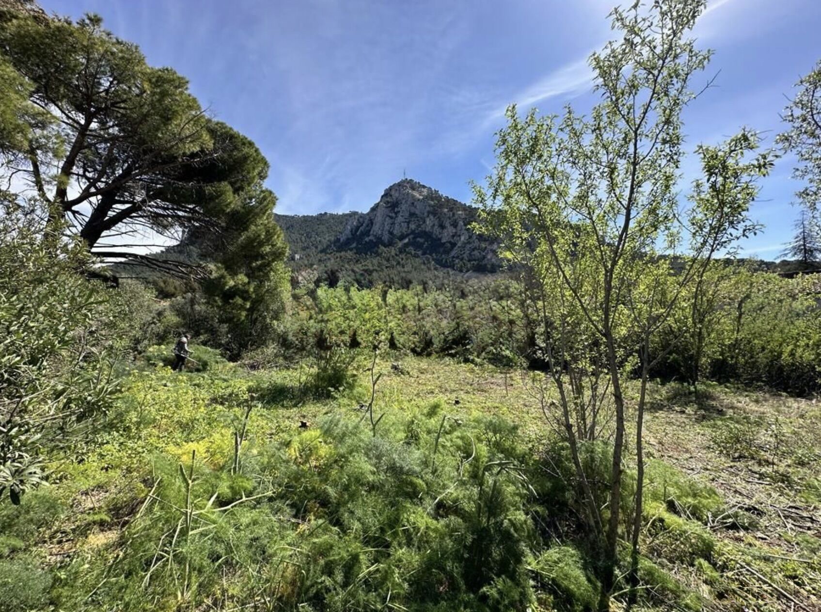 Terrain  à vendre Toulon 83000