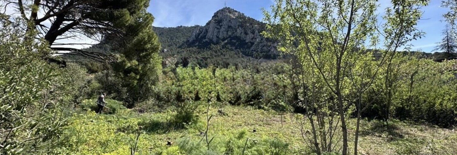 Terrain 387 m² à construire Toulon (83000)