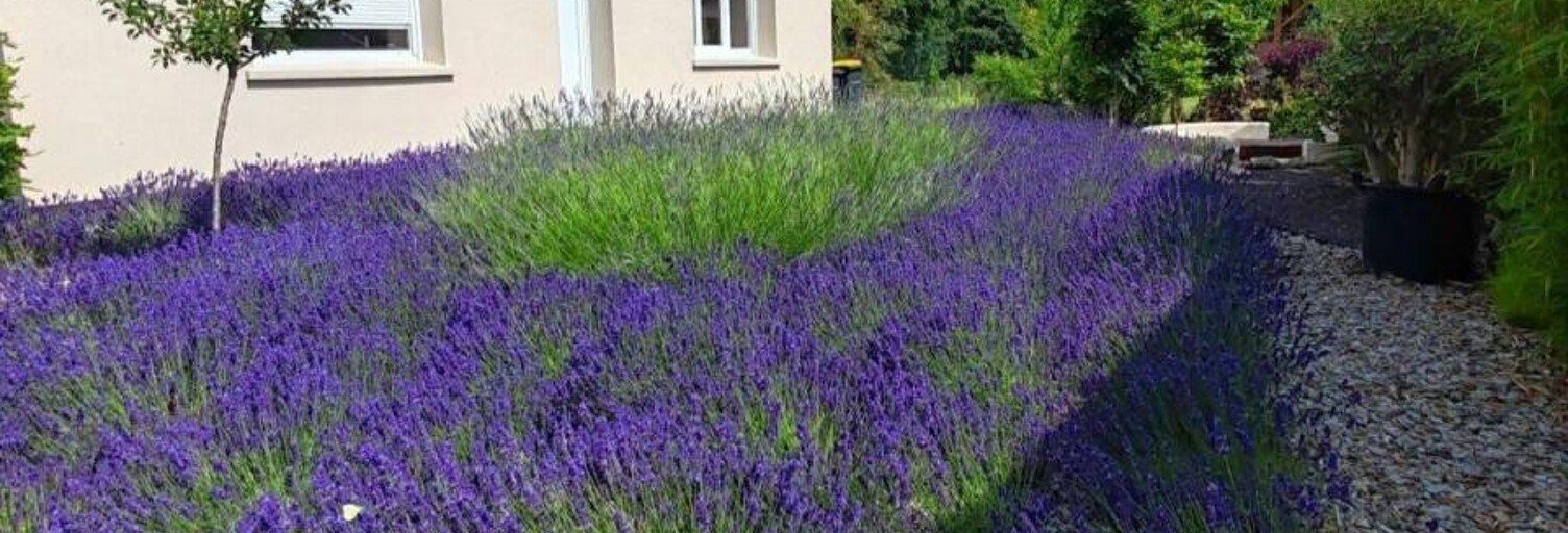 Maison 2 Pièces 40 m² à louer à Gien (45500)