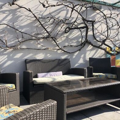 Appartement 1 pièces 710 €