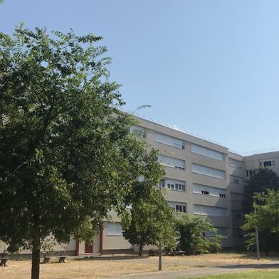 Appartement 3 pièces 565 €