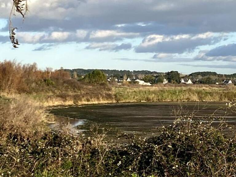 VILLAGE PROCHE LA BAULE GRANDE MAISON DE BOURG AVEC DE BEAUX VOLUMES ET  BEAUCOUP DE CHARME — photo 1