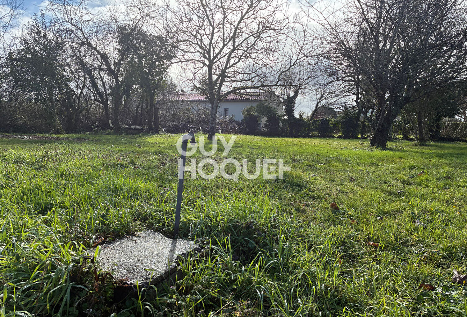 terrain — photo 1