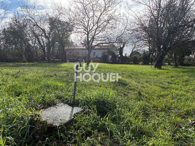 terrain — photo du bien