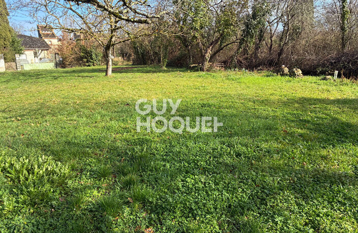 terrain — photo 3