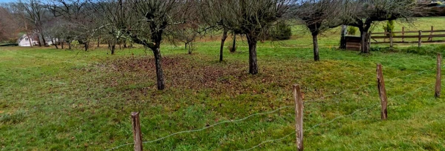 Terrain  686 m² à vendre à Saint-Antoine-du-Rocher (37360)