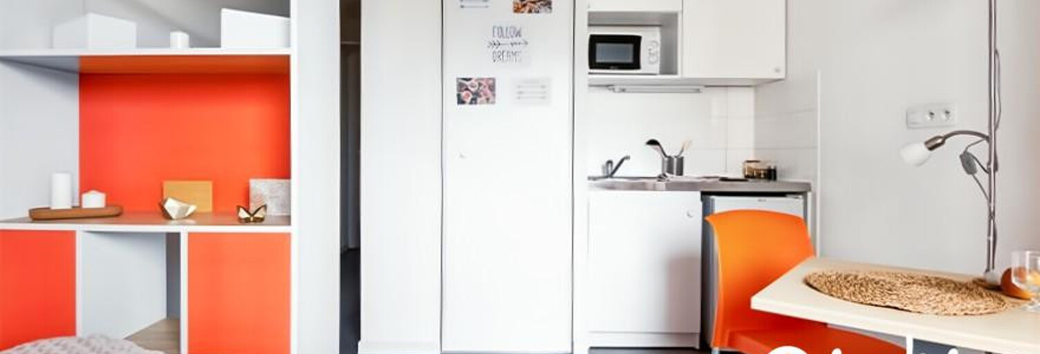 Appartement 1 Pièce 20 m² à vendre à Lyon 7 (69007)