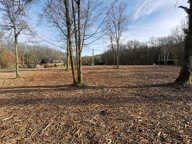 Terrain totalement défriché 2229 m2 — photo 4
