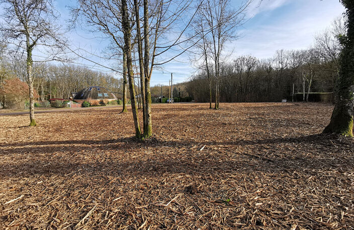 Terrain totalement défriché 2229 m2 — photo 4