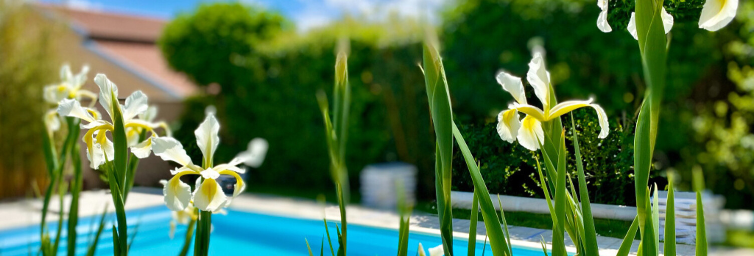 Maison 6 Pièces 233 m² à vendre à Brignais (69530)