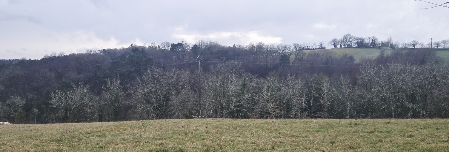 Terrain 4300 m² à construire Trélissac (24750)