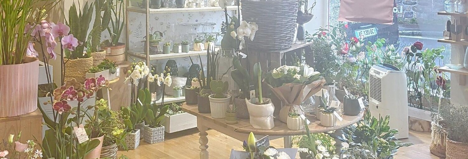 Commerce  71 m² à vendre à Roscoff (29680)