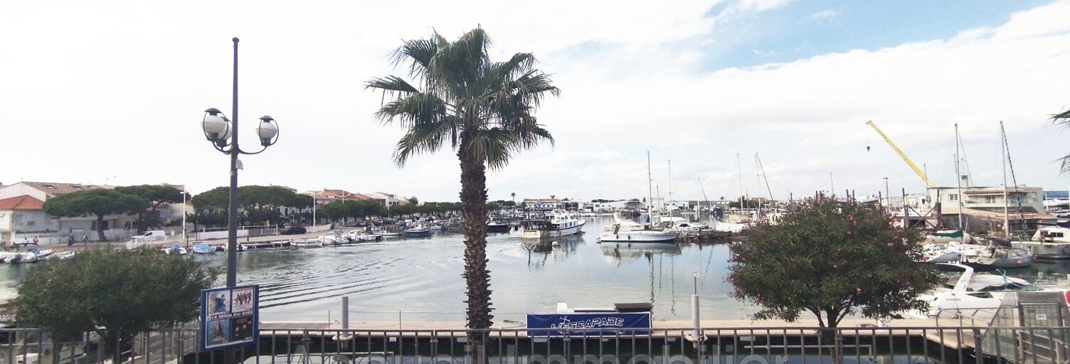 Appartement 1 Pièce 25 m² à vendre à Le Grau-du-Roi (30240)