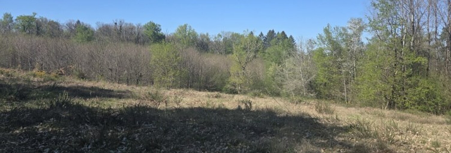 Terrain  3006 m² à vendre à Estivaux (19410)