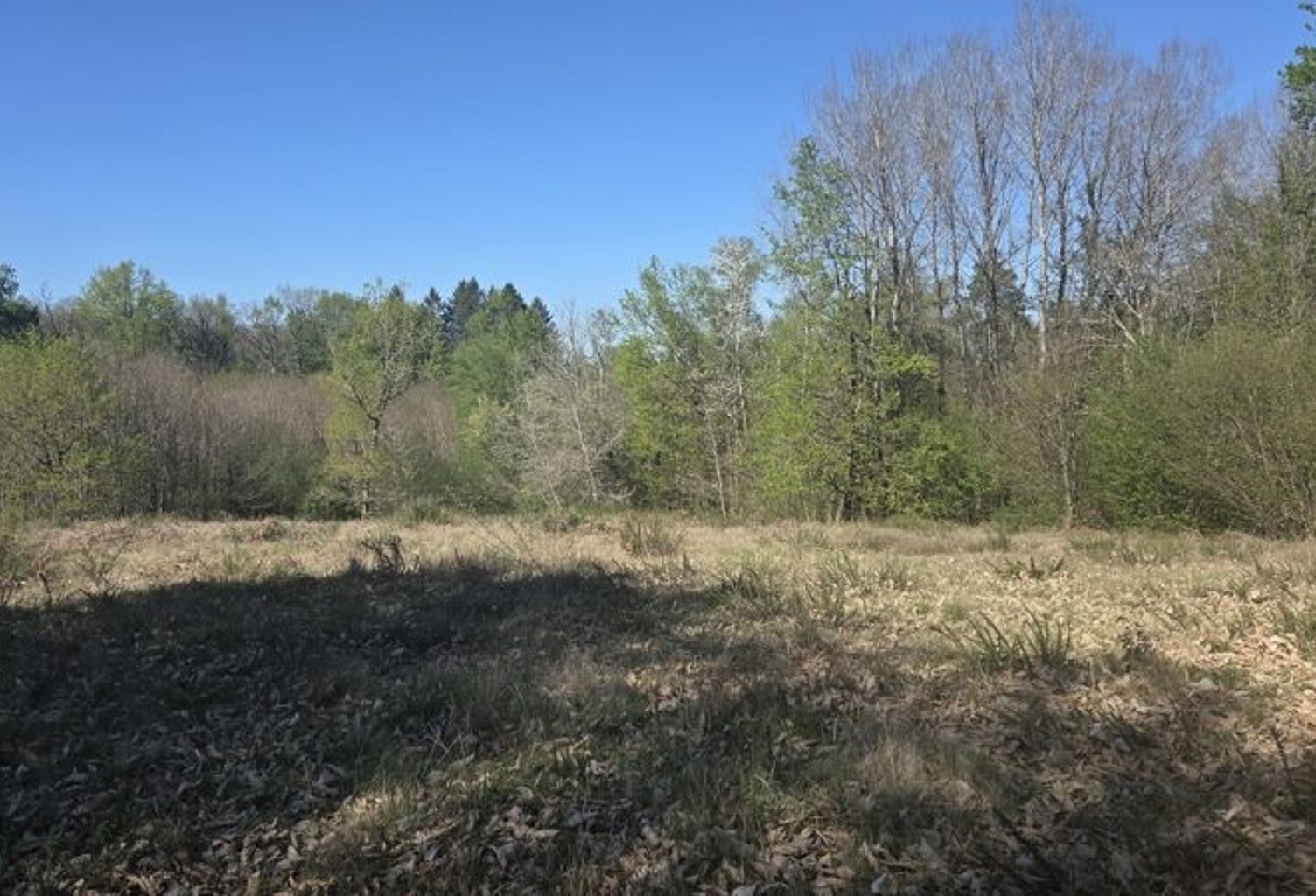 Terrain à bâtir de 0 pièces principales — photo 1