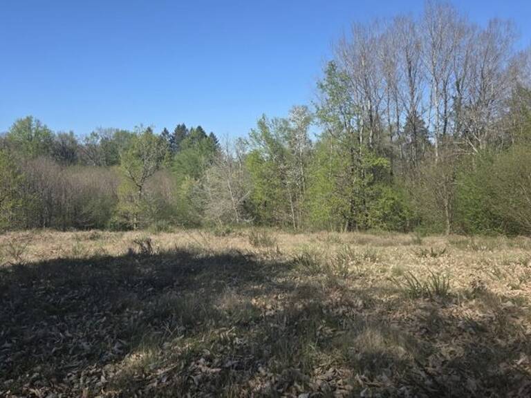 Terrain à bâtir de 0 pièces principales — photo 1