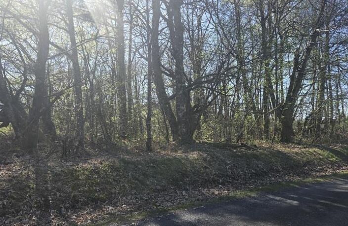 Terrain à bâtir de 0 pièces principales — photo 3
