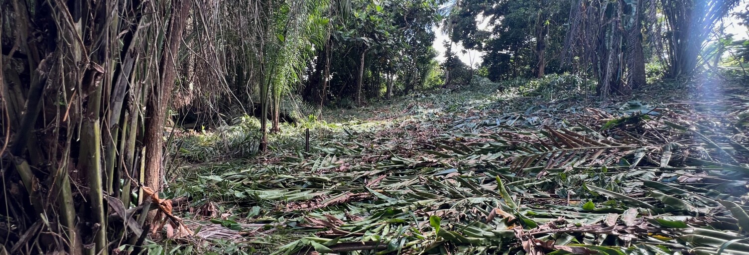 Terrain  2007 m² à vendre à Baie-Mahault (97122)