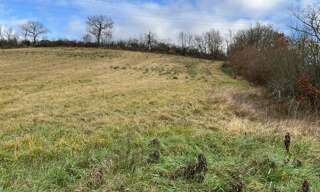 Terrain  1731 m² à vendre à Mirande (32300)