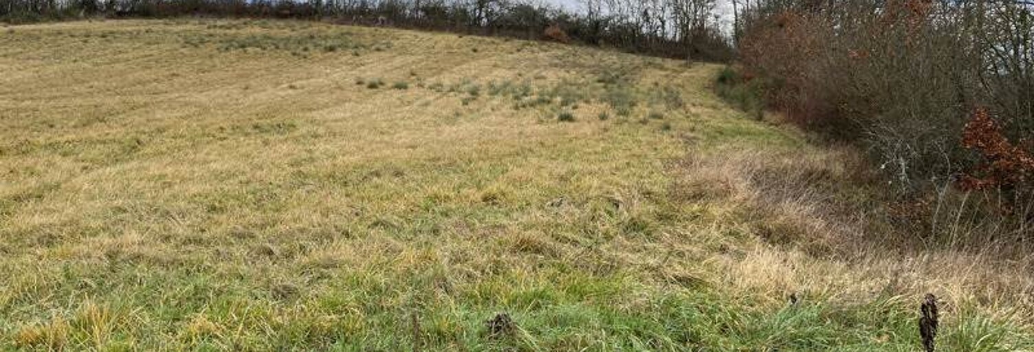 Terrain  1731 m² à vendre à Mirande (32300)