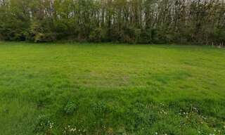 Terrain  7165 m² à vendre à Saint-Aignan (41110)