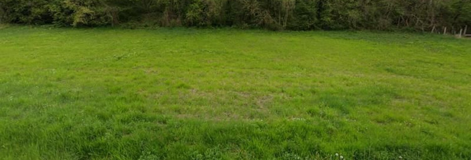 Terrain  7165 m² à vendre à Saint-Aignan (41110)