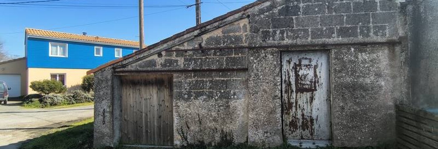 Photo N° 2